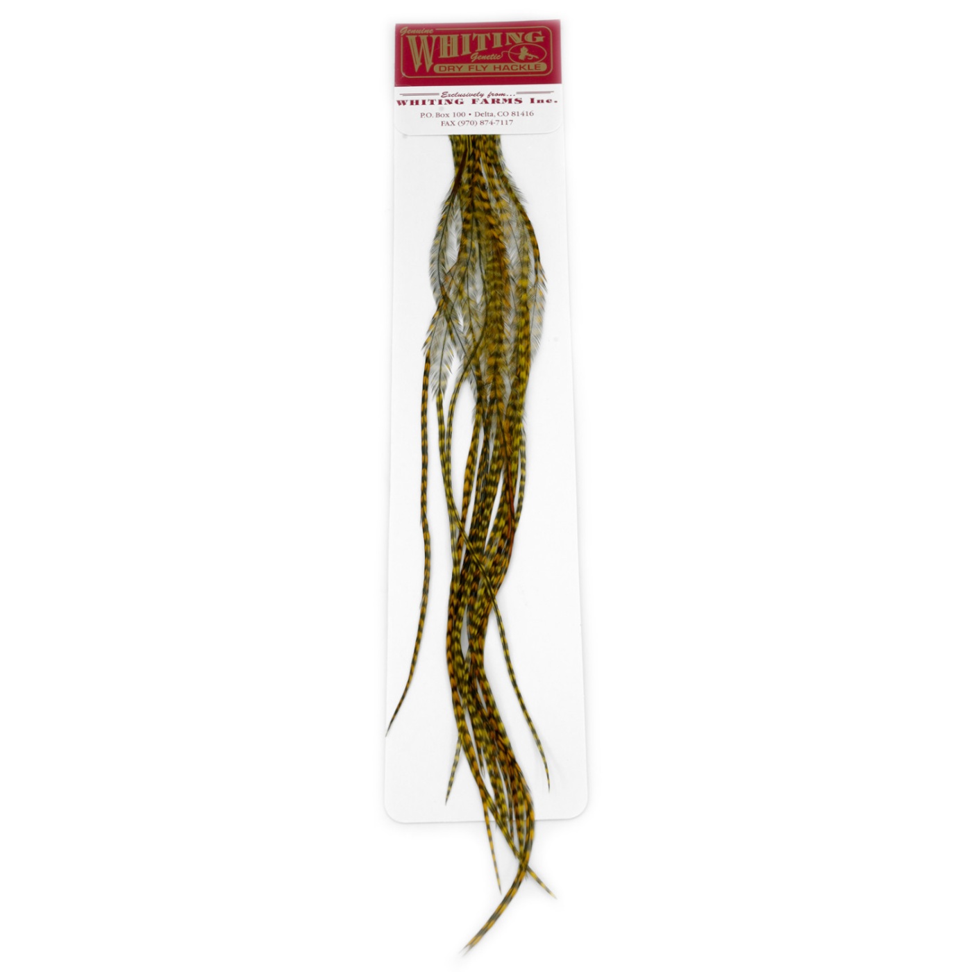 Whiting 100's Saddle Hackle Pack Size 22 Grizzly dyed Golden Olive